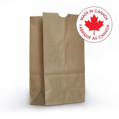 Bags-Paper, 12X7X17"H Dd60 Brown, 500/Ctn -12717X6000 - 012029
