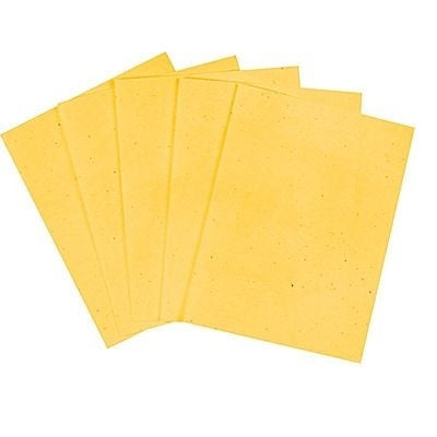 Paper-Hammermill Colors Letter 20Lb Goldenrod - 103168