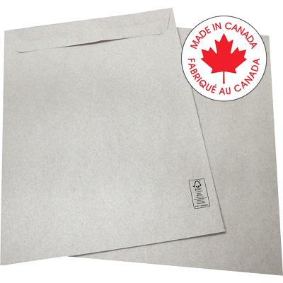 Envelope-Catalogue 10" X 13" Natural 100/Pk - 18125FSC