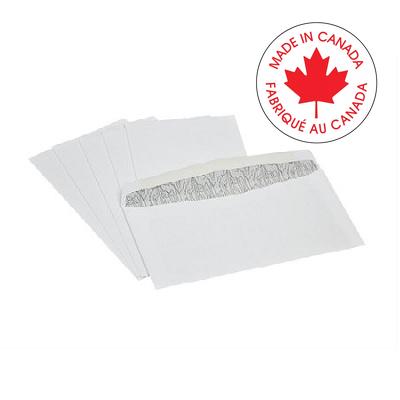 Envelope-#10 White, Security, 100/Pack - 19003