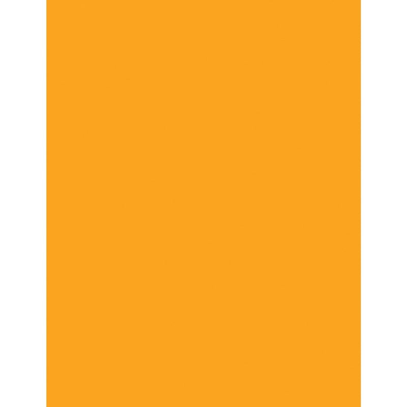 Cover Stock-Astrobrights Letter 65Lb Orbit Orange - 22761