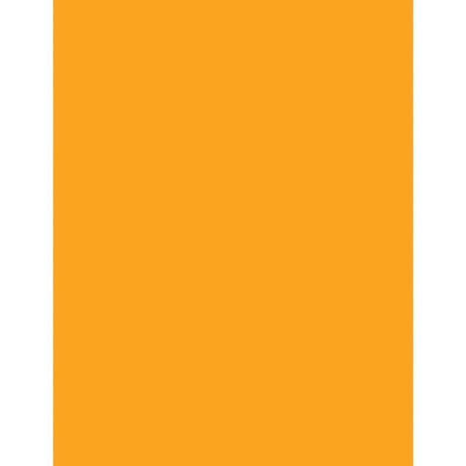 Cover Stock-Astrobrights Letter 65Lb Orbit Orange - 22761