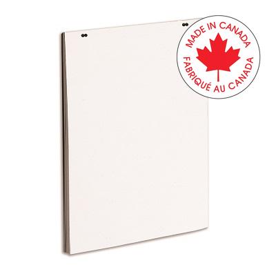 Flip Chart Pad-24X36 Bond, Plain  5/Bx - 34138-89803
