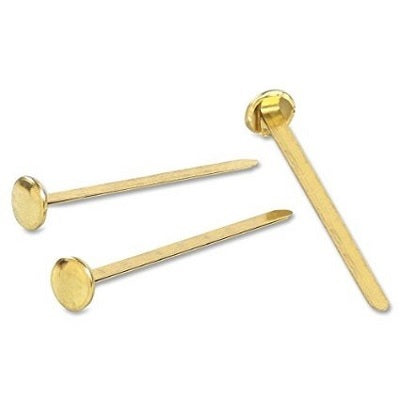 Paper Fastener-Brass Plated Round Head 2" - 50505-71713