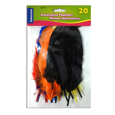 Feathers-Decorative Medium Sizes, Assorted Colours, 20/Pack - 54451