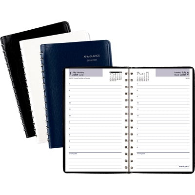 Planner-Academic, Daily Wire 4-7/8X8 Assorted Bil 2024/2025 - AY44F-10