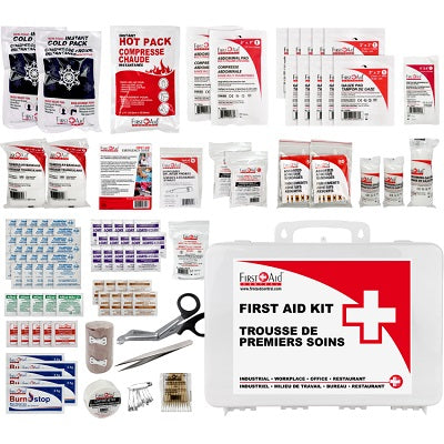 First Aid Kit-Deluxe, 233 Pieces, Plastic Case - FACDMPK