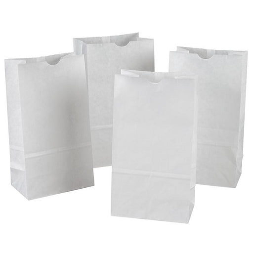 Bags-Craft, Creativity Street, 6X3-5/8X11" White 50/Pk - P0072005