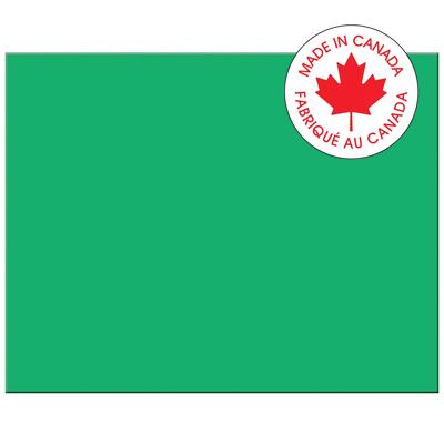 Railroad Poster Board-Pacon 4-Ply 22X28 Holiday Green - P5466