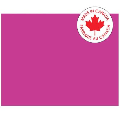 Railroad Poster Board-Pacon 4-Ply 22X28" Fuchsia 25/Pk - P5471-1