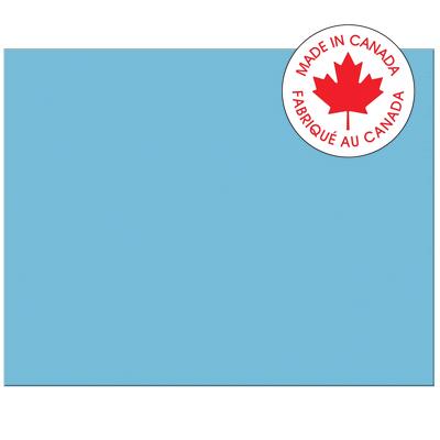 Railroad Poster Board-Pacon 4-Ply 22X28" Light Blue 25/Pk - P5484-1