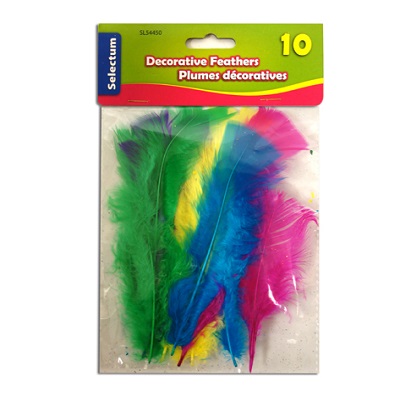 Feathers-Decorative Small Sizes, Assorted Colours, 10/Pack