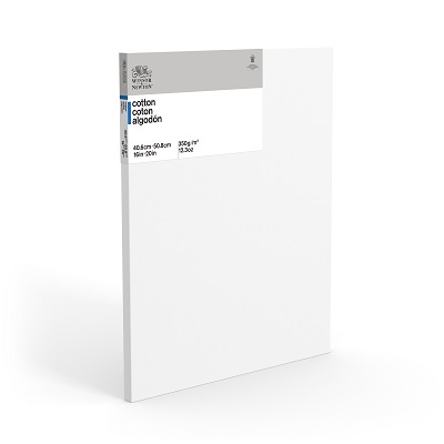 Canvas-Stretched W&N 16X20" Cotton