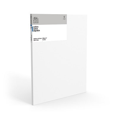 Canvas-Stretched W&N 20X24" Cotton