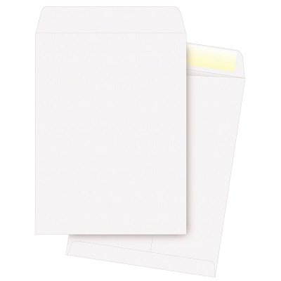 Envelope-Catalogue 6.5X9.5 White, 500/Box