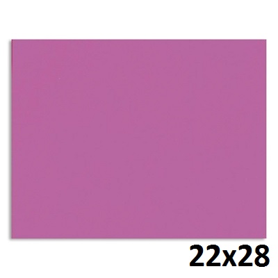 Poster Board-22X28 2 Ply, Fluorescent Pink
