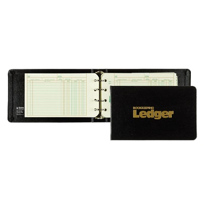 Ledger Outfit-Stiff 6-3/16X10 Pale Blue